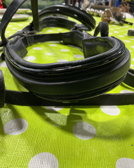 Bridle Engish with Reins. Padded Noseband/Browband