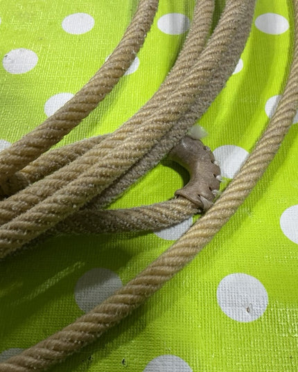 Lariat