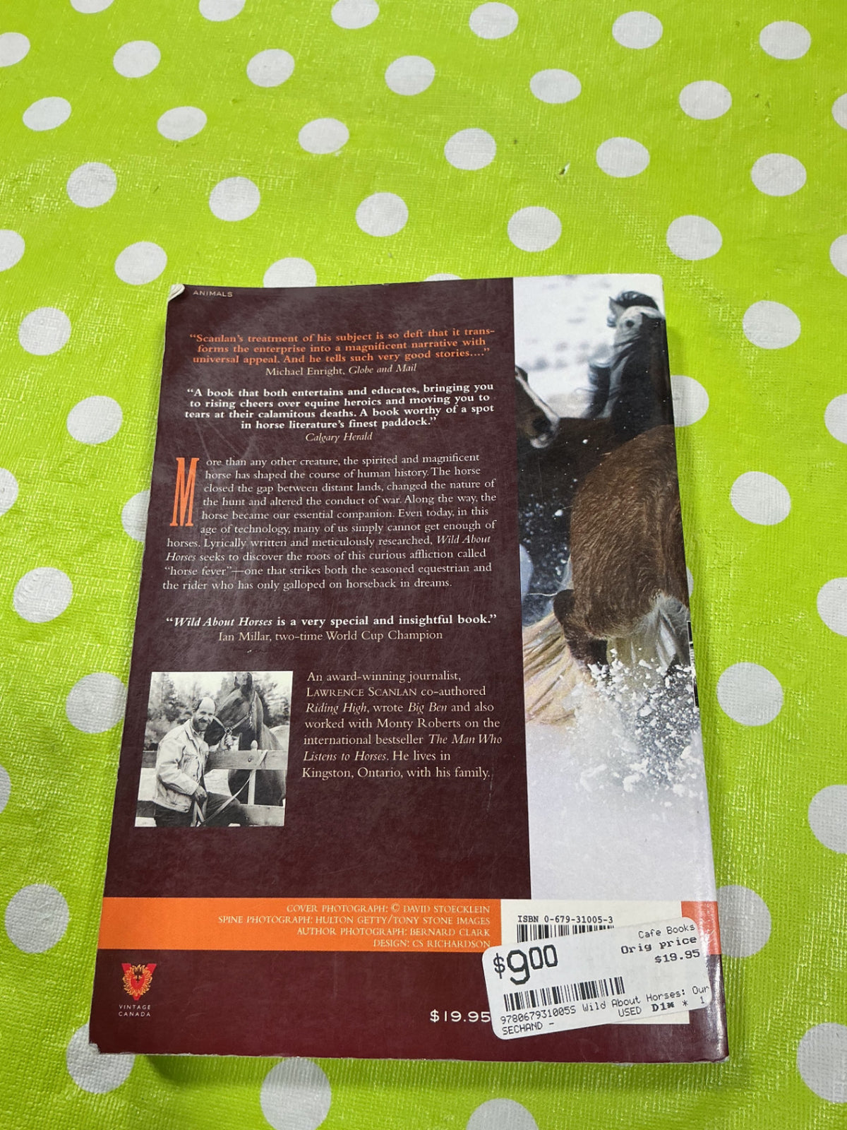 Book. Wild About Horses