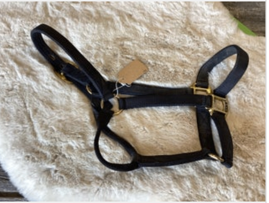 Halter Big D Black 