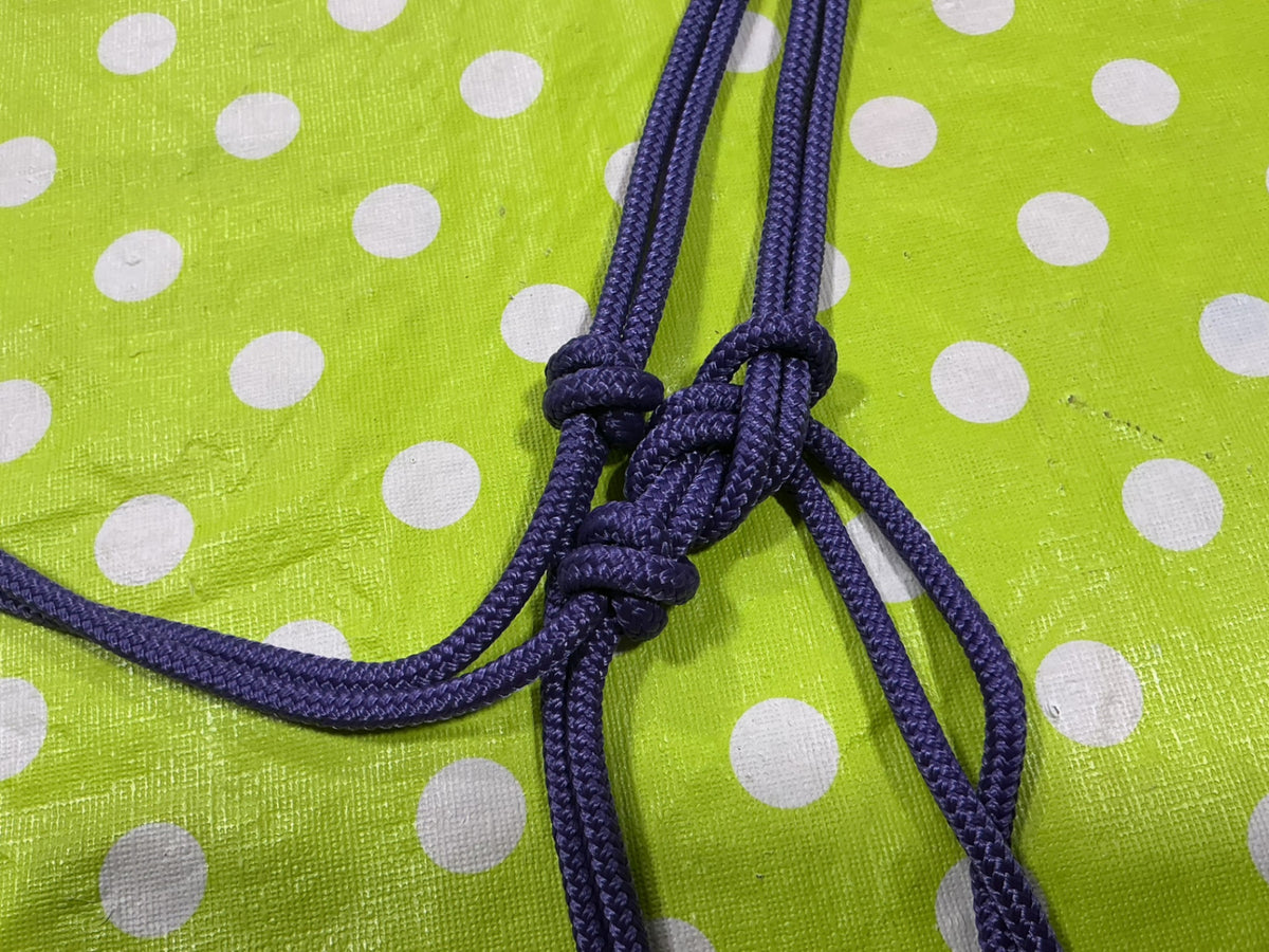 Halter Rope Purple