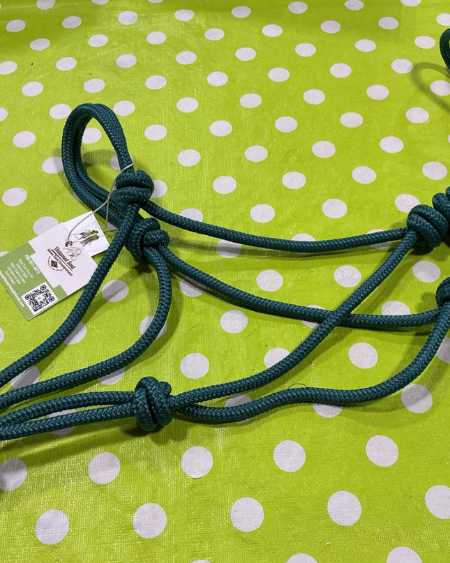 Halter Rope Teal Standard Size