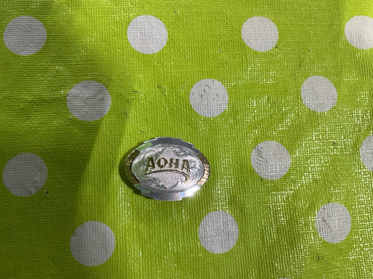 Pin AQHA