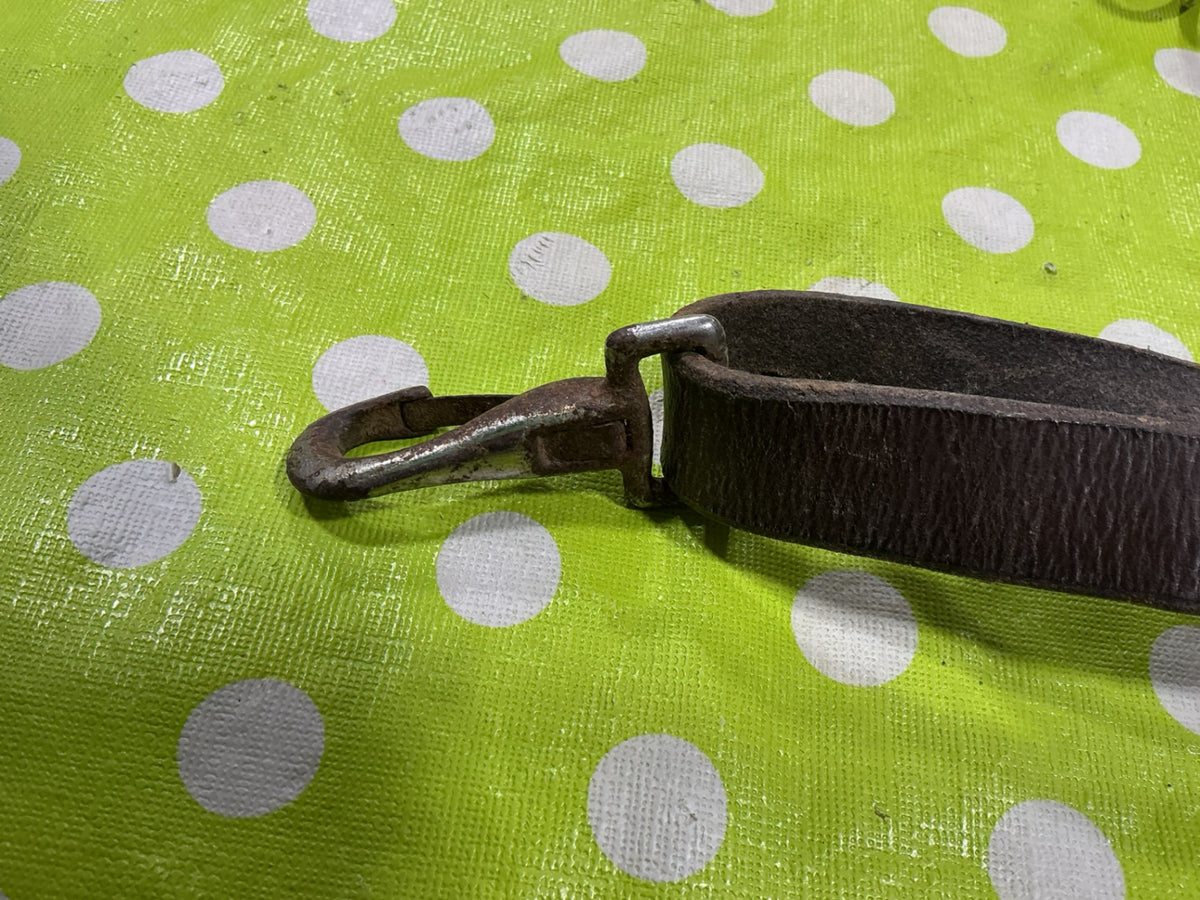 Martingale English. Brown Leather