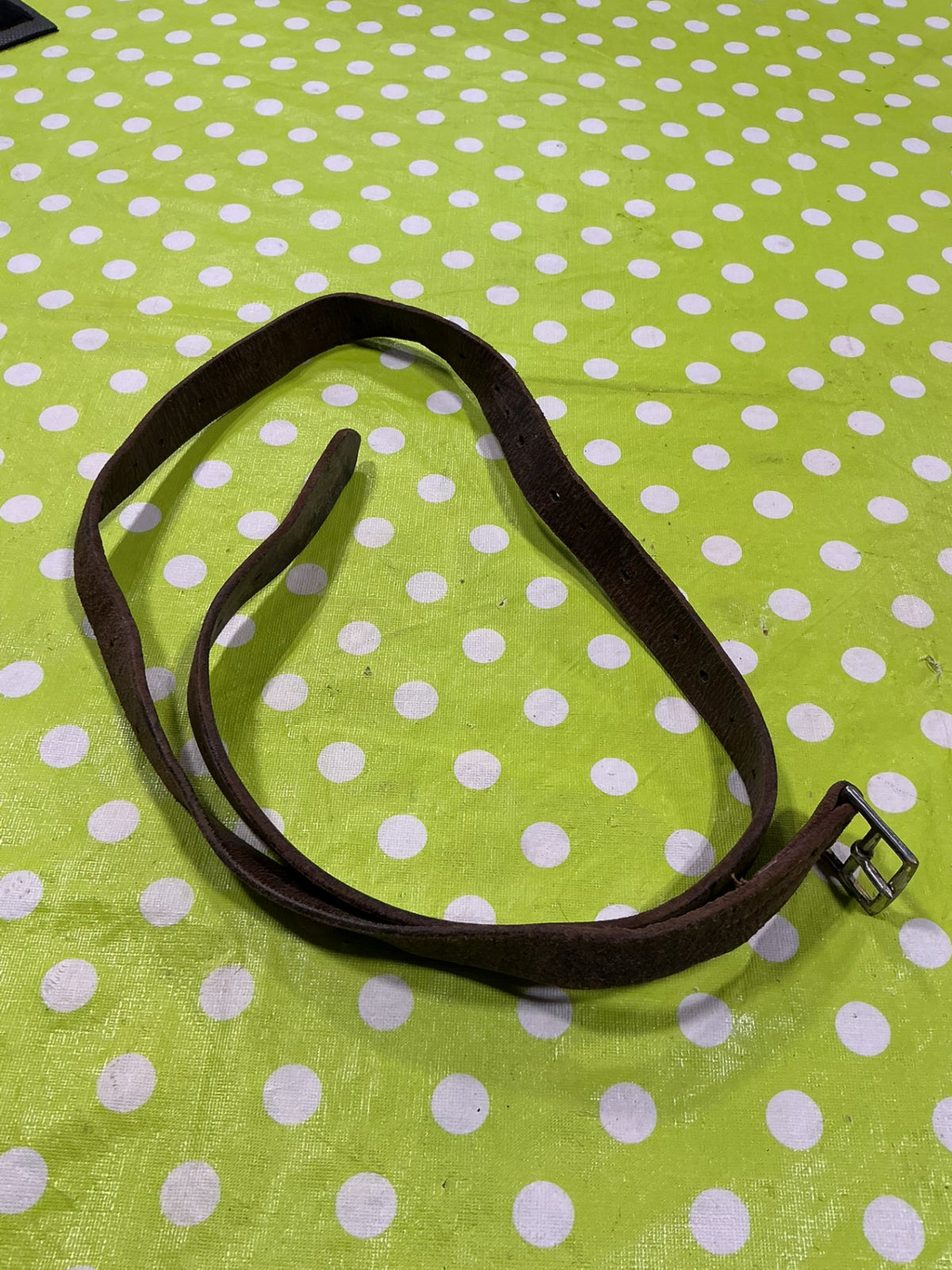 Stirrup Leather.  1 Only