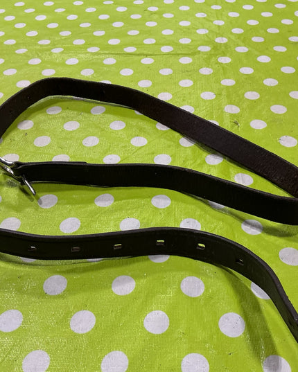 Stirrup Leather.  1 Only.