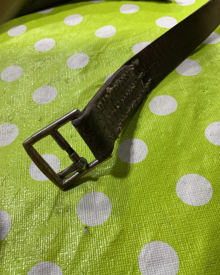 Stirrup Leather. 1 Only