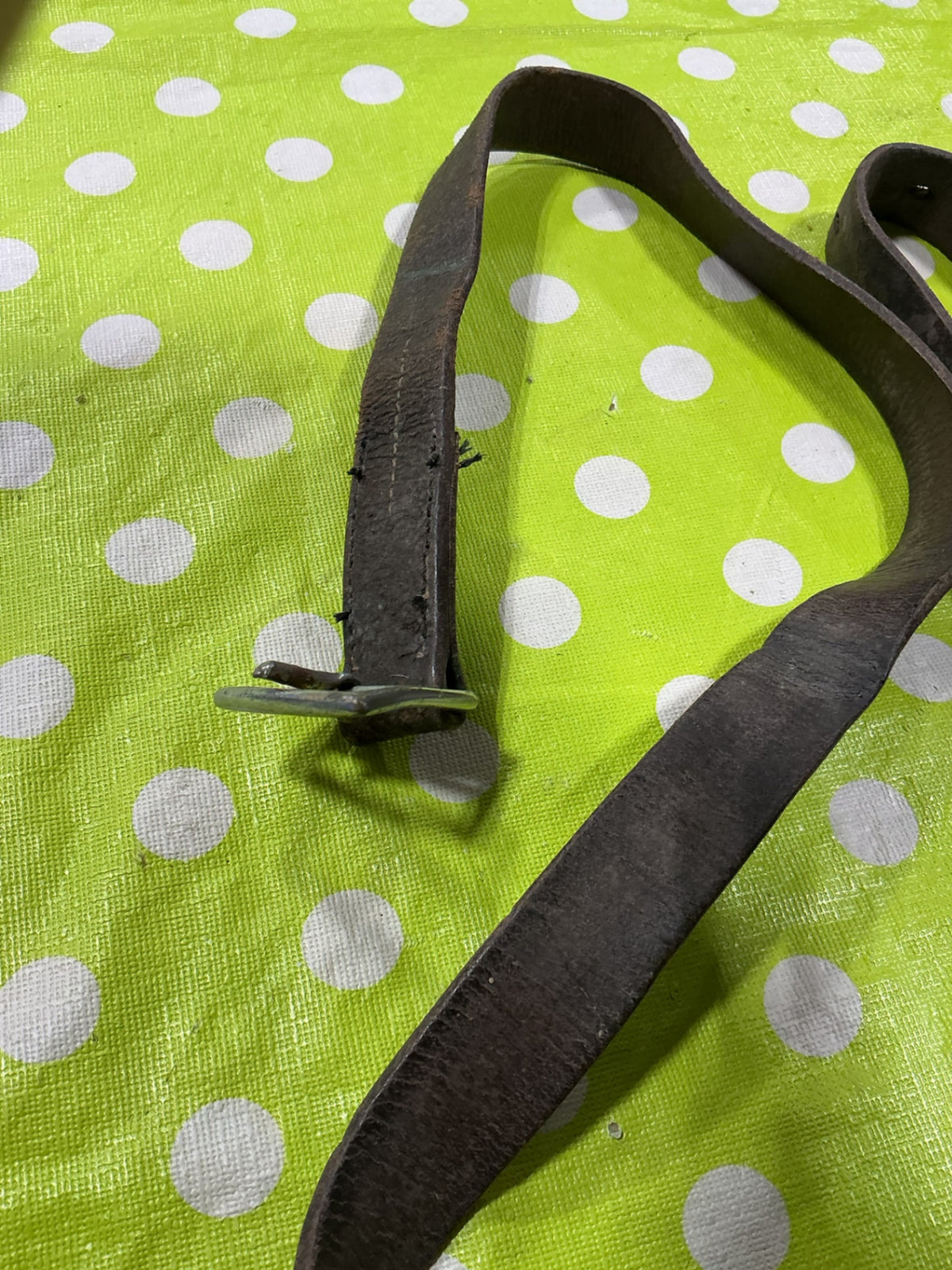 Stirrup Leather.   1 Only