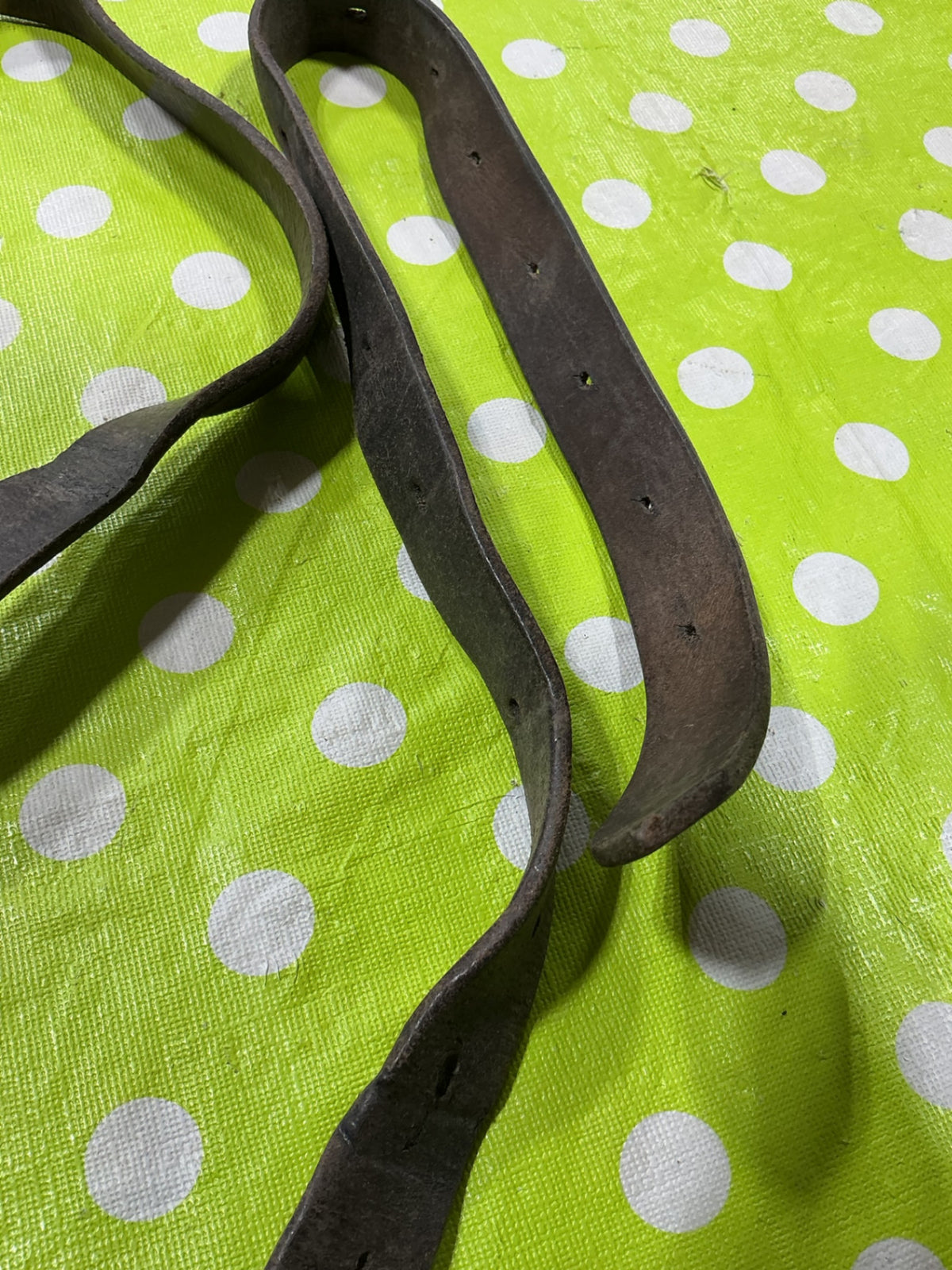 Stirrup Leather.   1 Only