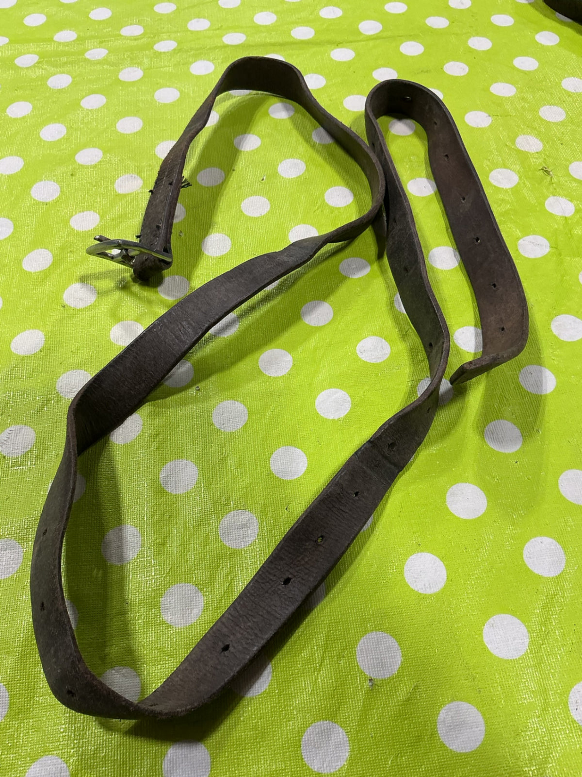 Stirrup Leather.   1 Only