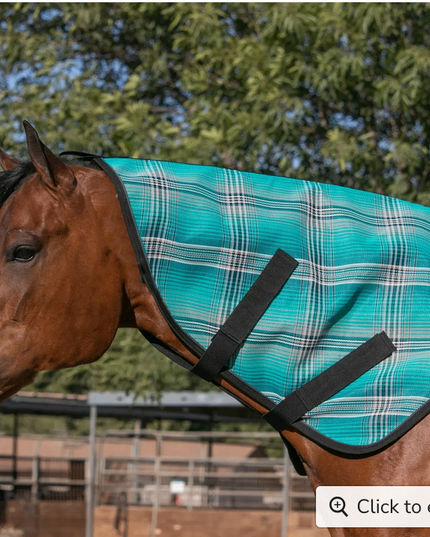 Fly Neck | atlantis / Large - Kensington