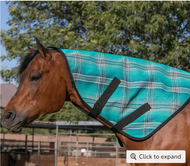 Fly Neck | atlantis / Large - Kensington