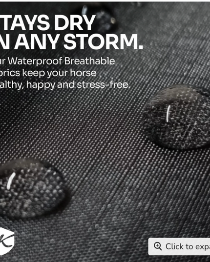Winter Coat "80G" Ultra Light Weight | H - Harbor / 75 -Kensignton