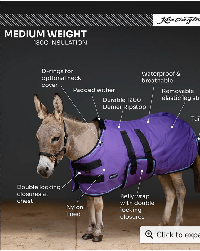 Winter Coat Mini&  Mini Donkey 180G Kensington-Black 54"