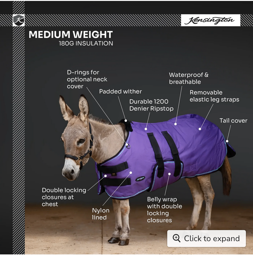 Winter Coat Mini&  Mini Donkey 180G Kensington-Black 54"