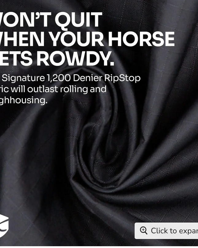 Winter Coat Mini&  Mini Donkey 180G Kensington-Black 54"