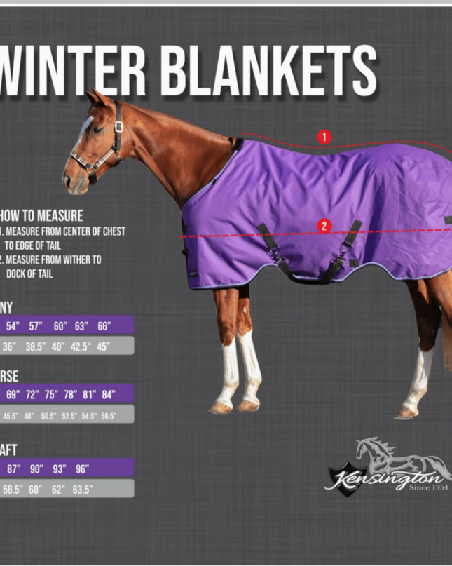 Winter Coat 80G 81" Deluxe Black-Kensington