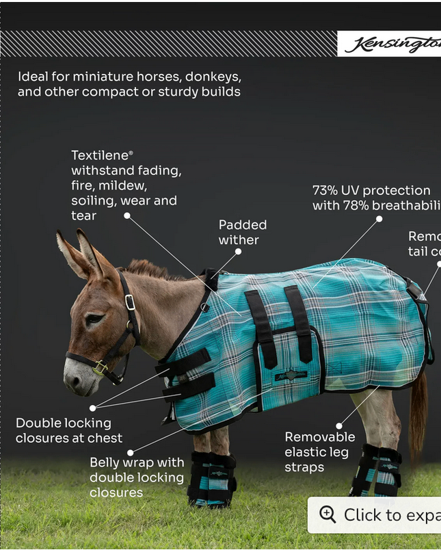 Fly Sheet Mini & Mini Donkey Kensington| lavender-mint / 42