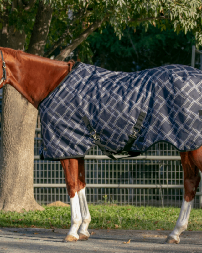 Winter Coat 80G 81" Deluxe Black-Kensington