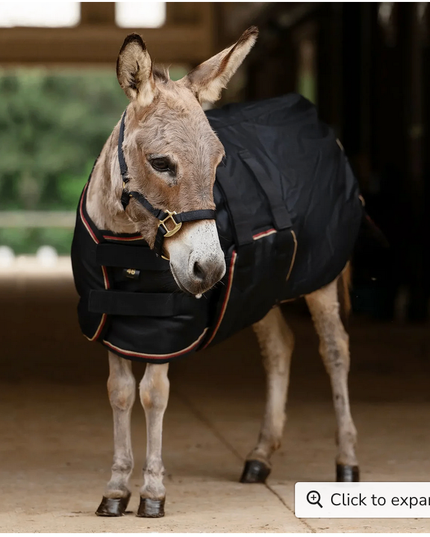 Winter Coat Mini&  Mini Donkey 180G Kensington-Black 54"
