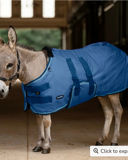 Winter Coat Mini & Mini Donkey 180G  Navy / 42" - Kensington