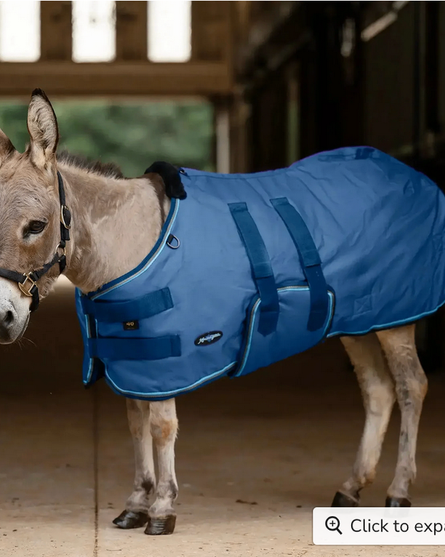 Winter Coat Mini & Mini Donkey 180G  Navy / 42" - Kensington