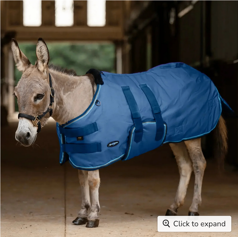 Winter Coat Mini & Mini Donkey 180G  Navy / 42" - Kensington