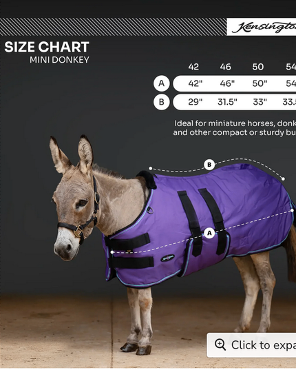 Winter Coat Mini & Mini Donkey 180G Kensington- Navy / 50"