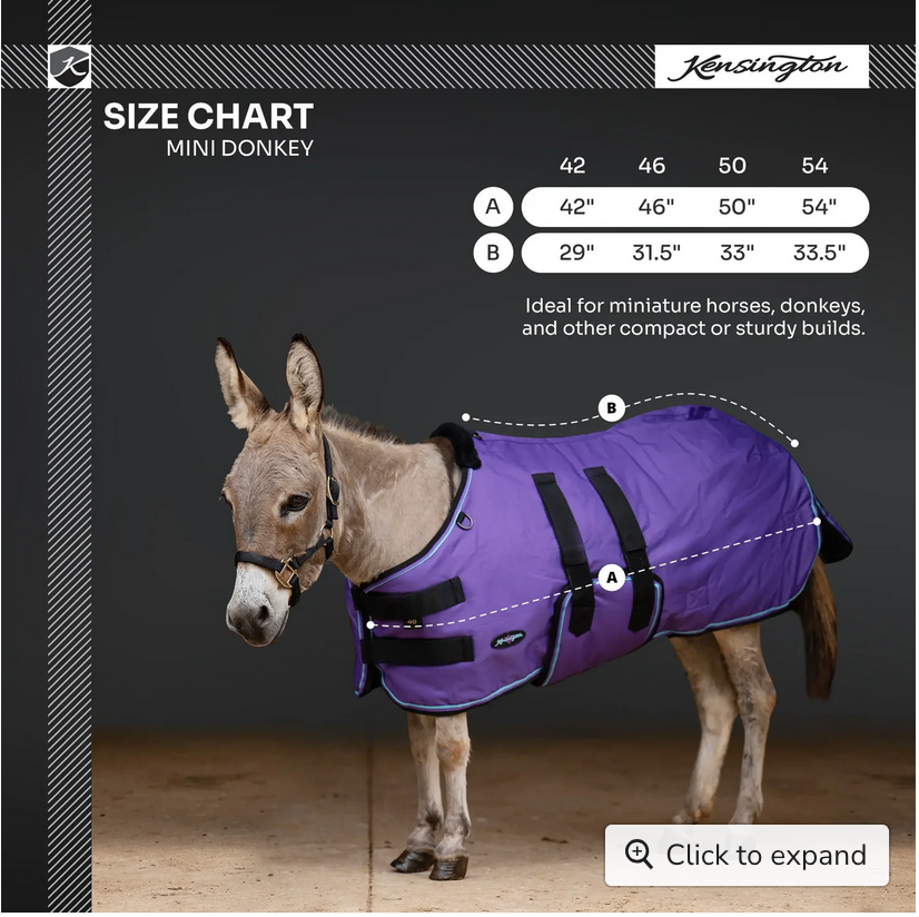 Winter Coat Mini & Mini Donkey 180G Kensington- Navy / 50"