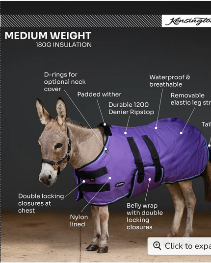 Winter Coat Mini & Mini Donkey 180G Kensington- Navy / 50"