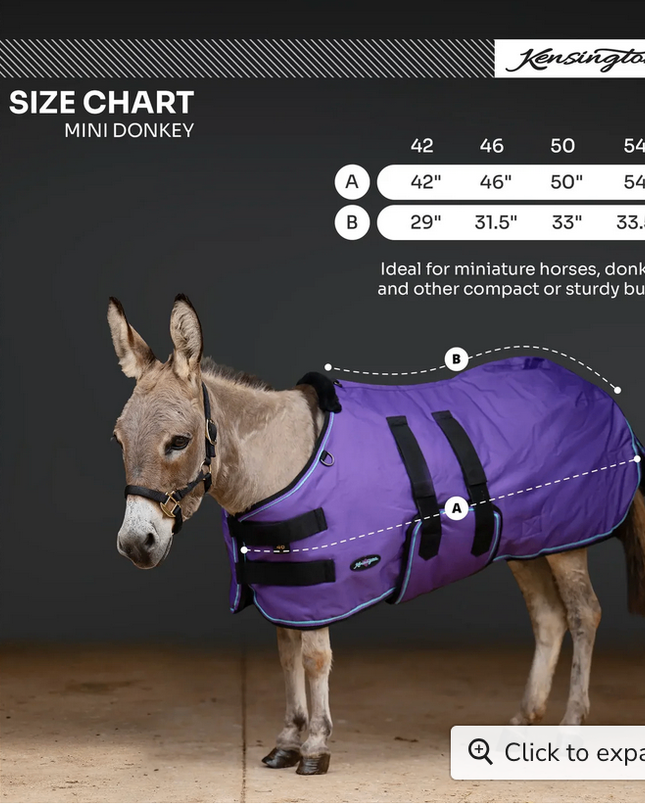 Winter Coat Mini & Mini Donkey 180G  Navy / 42" - Kensington