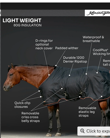 Winter Coat "80G" Ultra Light Weight | H - Harbor / 75 -Kensignton