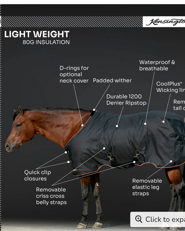 Winter Coat "80G" Ultra Light Weight | H - Harbor / 75 -Kensignton