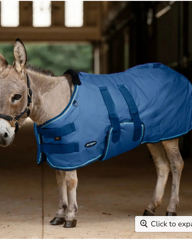 Winter Coat Mini & Mini Donkey 180G Kensington- Navy / 50"