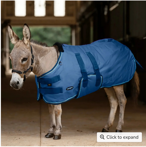 Winter Blanket – Kensington Mini & Mini Donkey 180g, Navy, 50" | New with Tags