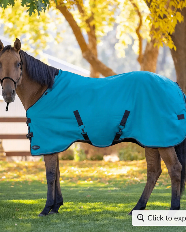 Winter Coat "80G" Ultra Light Weight | H - Harbor / 75 -Kensignton