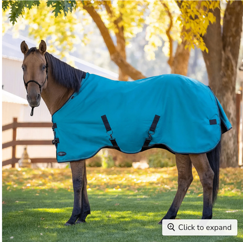 Winter Blanket – Kensington 80g Ultra Lightweight, Harbor, 75" | New with Tags