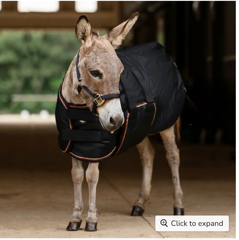 Winter Coat Mini &  Mini Donkey 180G Kensington-Black / 46"