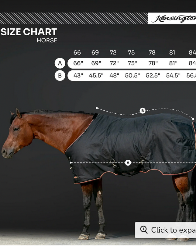 Winter Coat "80G" Ultra Light Weight | H - Harbor / 75 -Kensignton