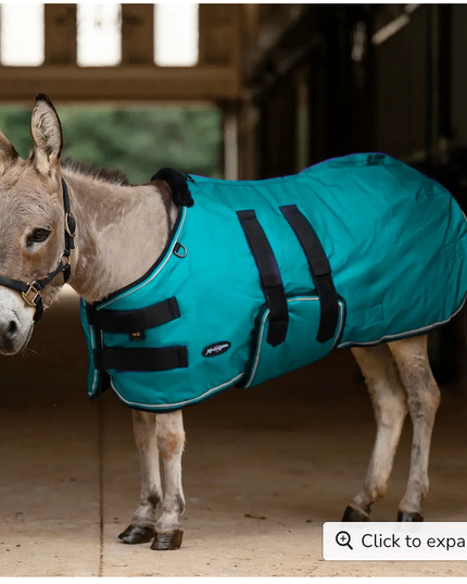 Winter Coat Mini & Mini Donkey 180G Kensington 42”