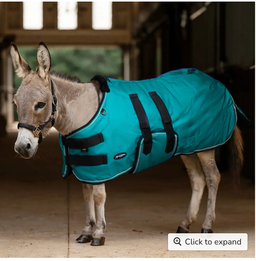 Winter Blanket – Kensington Mini & Mini Donkey 180g, Harbor, 42" | New with Tags