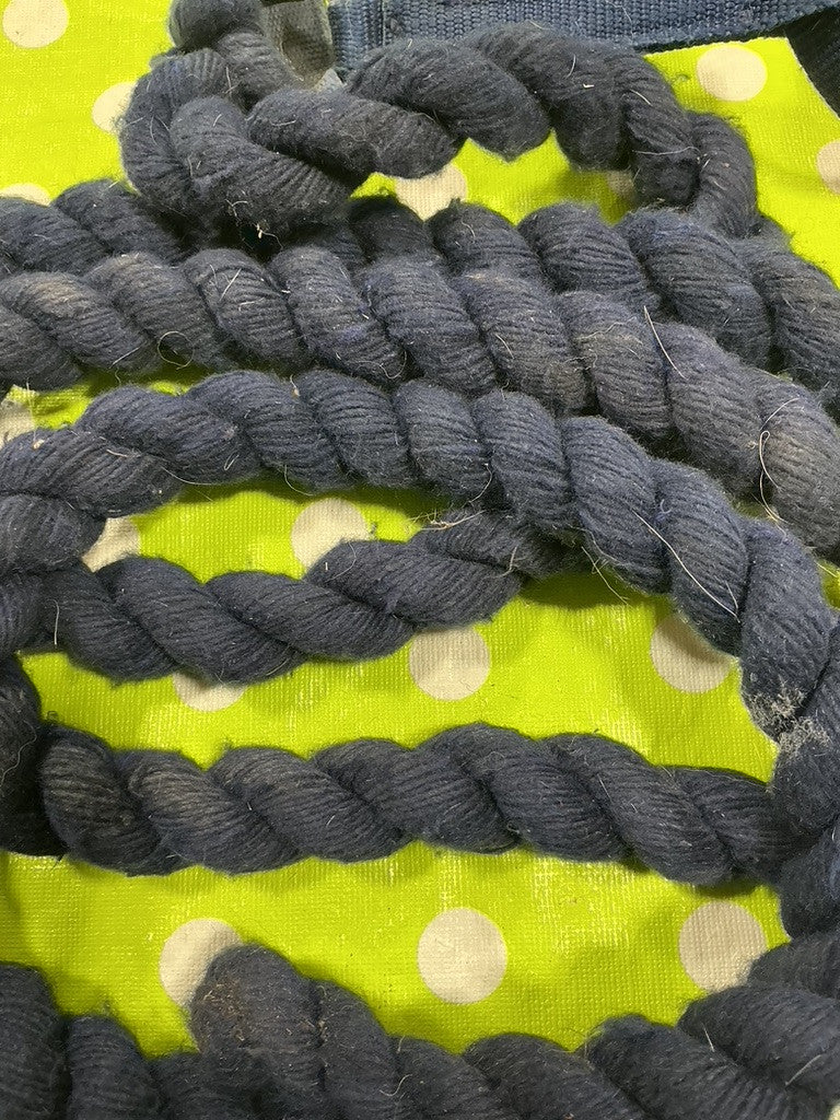 Halter with Lead Rope  Blue Nylon  Yearling/Small Horse