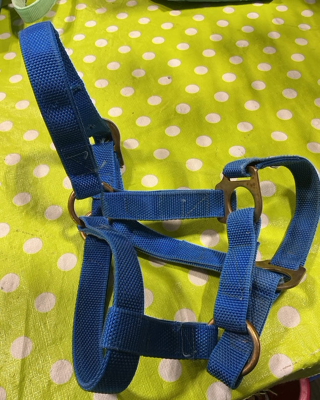 Halter Blue Nylon Yearling Size