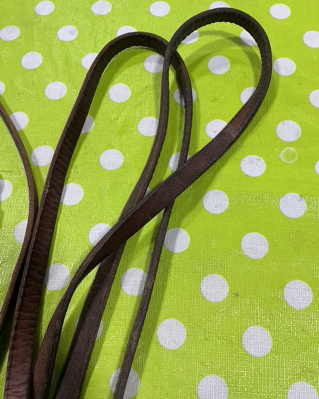 Bridle Western with Reins  5" Curb Bit  One Ear
