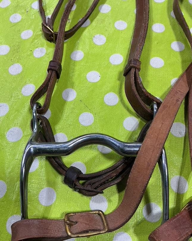 Bridle Western with Reins. 5" Curb Bit