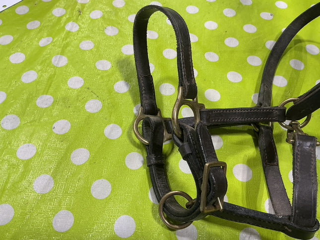 Halter Brown Leather Weanling