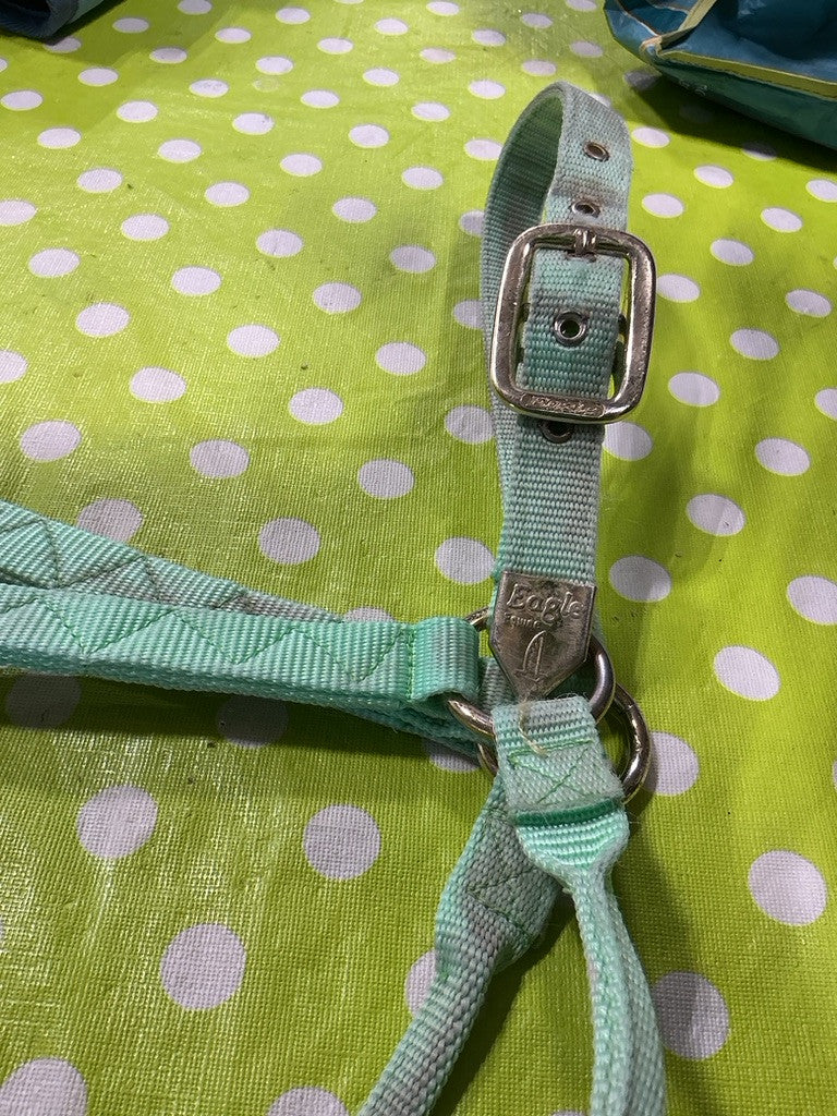 Halter Nylon  Light Green