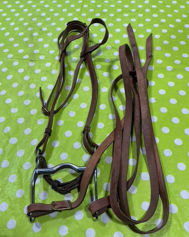 Bridle Western with Reins. 5" Curb Bit