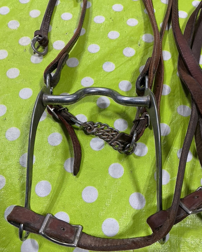 Bridle Western with Reins  5" Curb Bit  One Ear