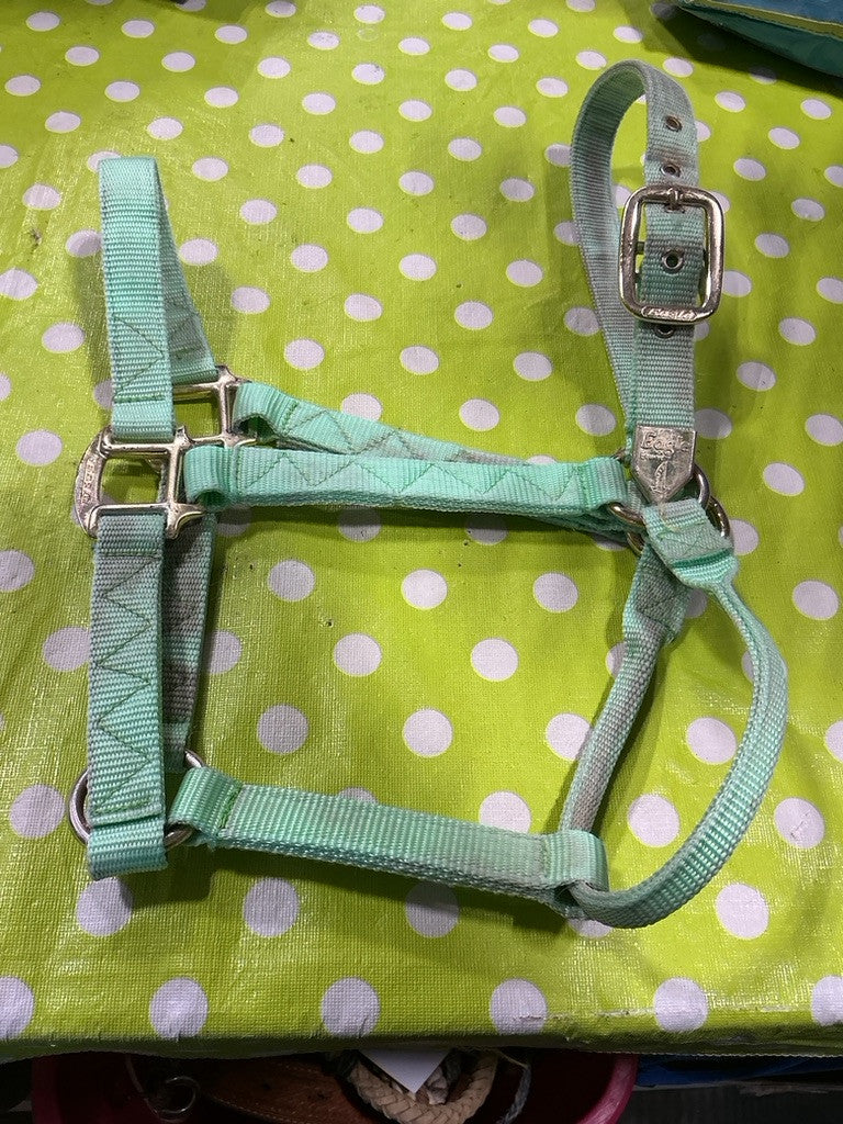 Halter Nylon  Light Green